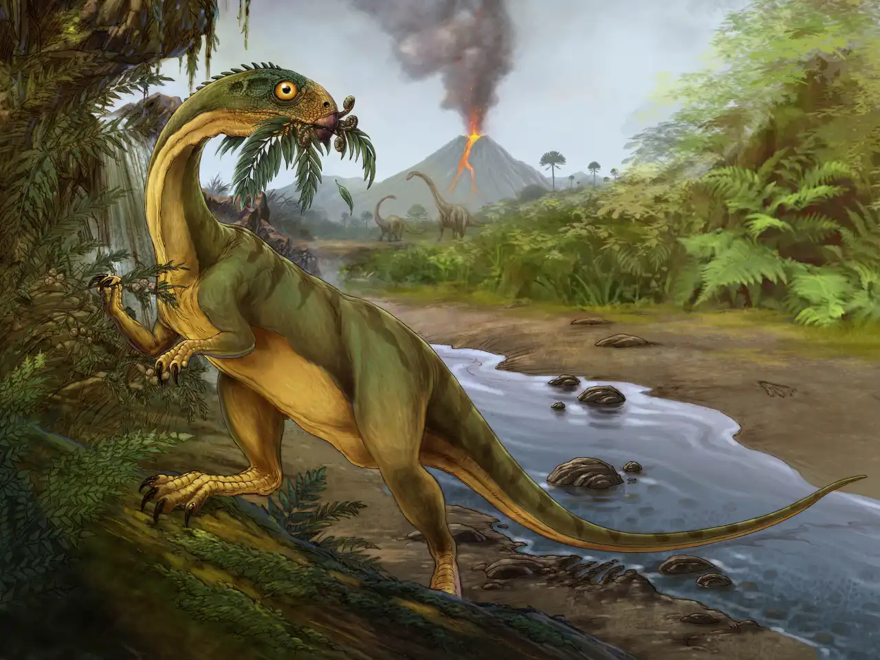 Chilesaurus-Diegosuarezi-03