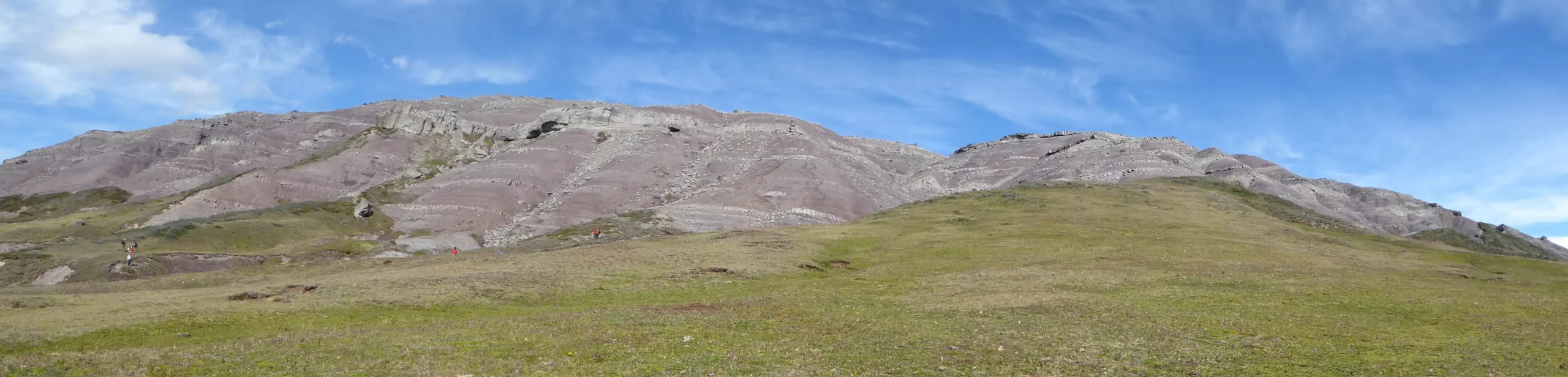 Fosiles-Pampa-Guadal-07